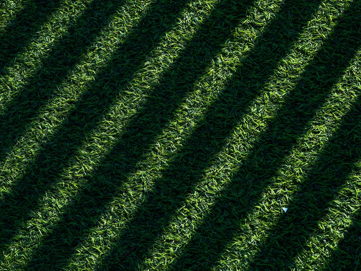 Diagonal shadows falling across a striped lawn